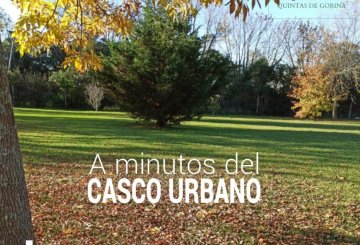 Lote en Venta Calle 483 (joaquín Gorina), La Plata - Imagen 9