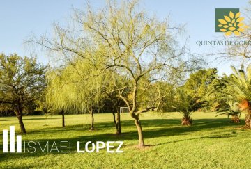 Lote en Venta Calle 483 (joaquín Gorina), La Plata - Imagen 3