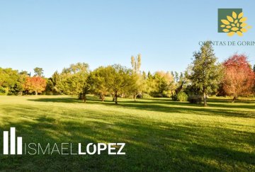Lote en Venta Calle 483 (joaquín Gorina), La Plata - Imagen 7