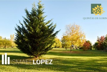 Lote en Venta Calle 483 (joaquín Gorina), La Plata - Imagen 4