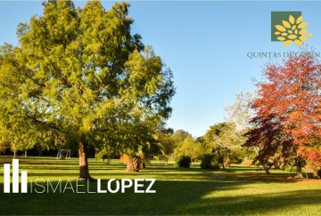 Lote en Venta Calle 483 (joaquín Gorina), La Plata - Imagen 8