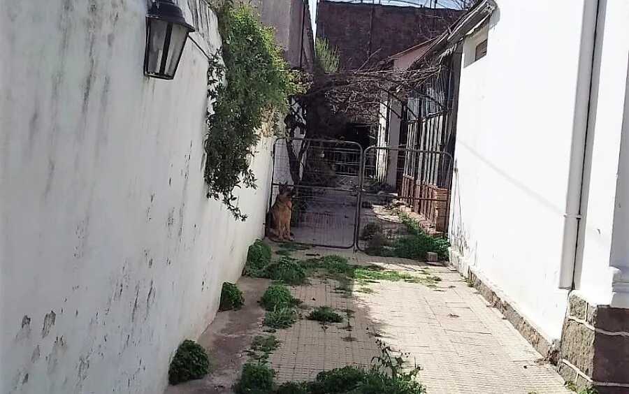 Casa Cosquin - Imagen