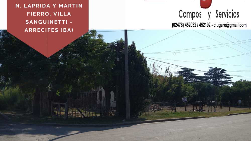 NARCISO LAPRIDA Y MARTIN FIERRO, 