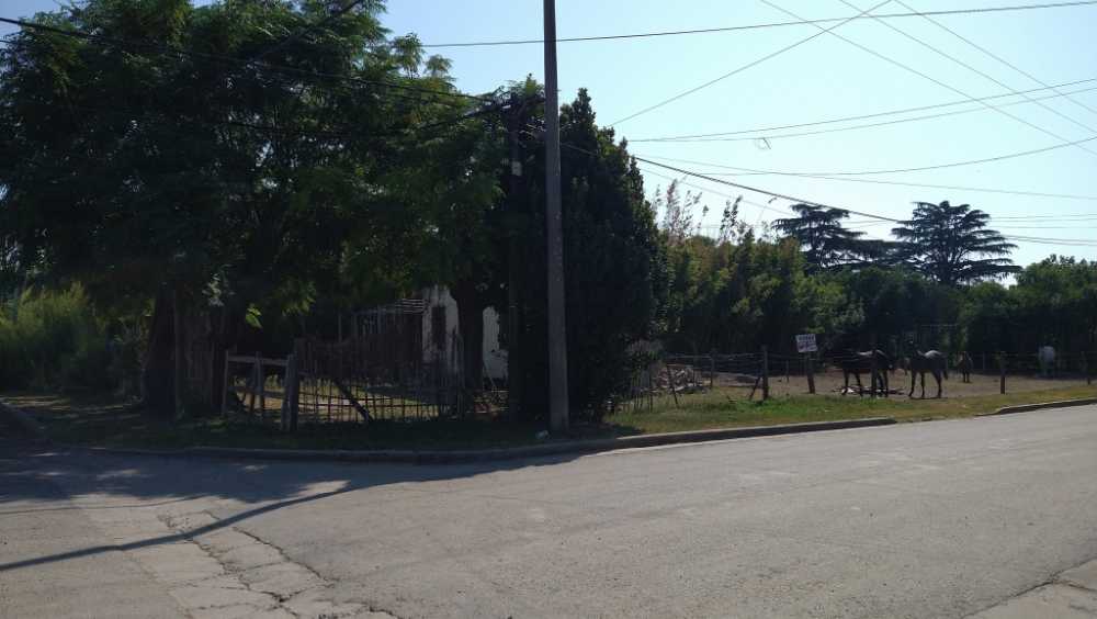 Terreno en Venta Narciso Laprida Y Martin Fierro, Arrecifes - Imagen 3