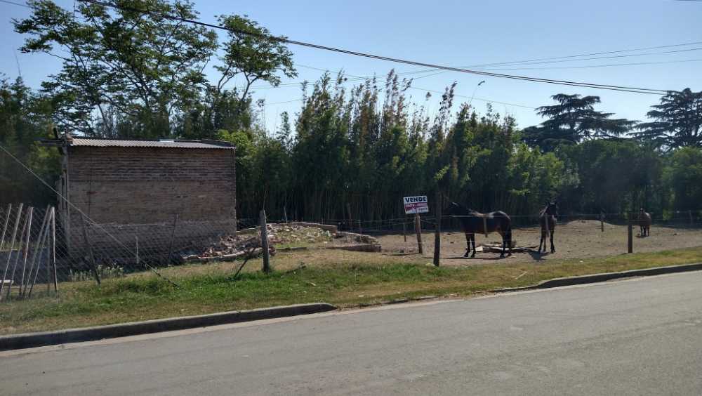 Terreno en Venta Narciso Laprida Y Martin Fierro, Arrecifes - Imagen 4