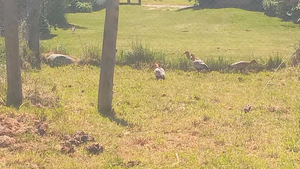 Departamento El Bolsón - Imagen