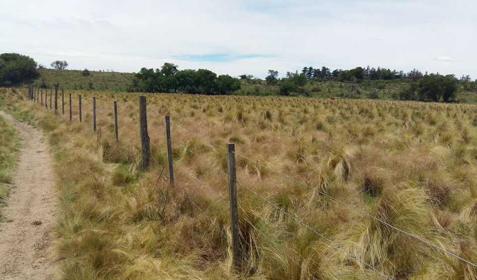Las Cañitas, Córdoba., 