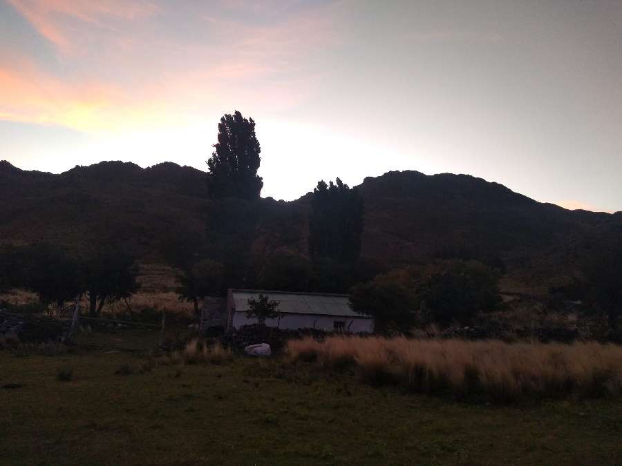 Campo  Cruz del Eje - Imagen