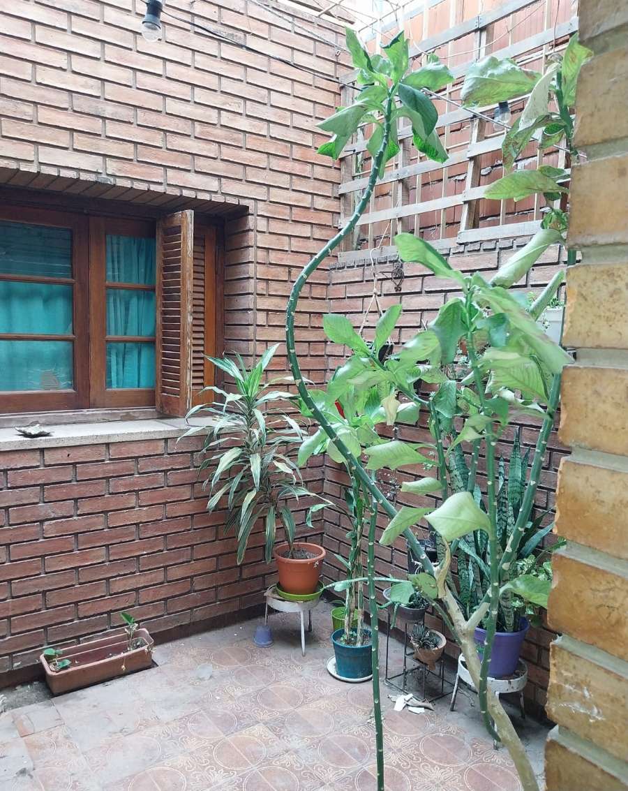 Casa en Venta Pje Raggi 1500, Córdoba - Imagen 3