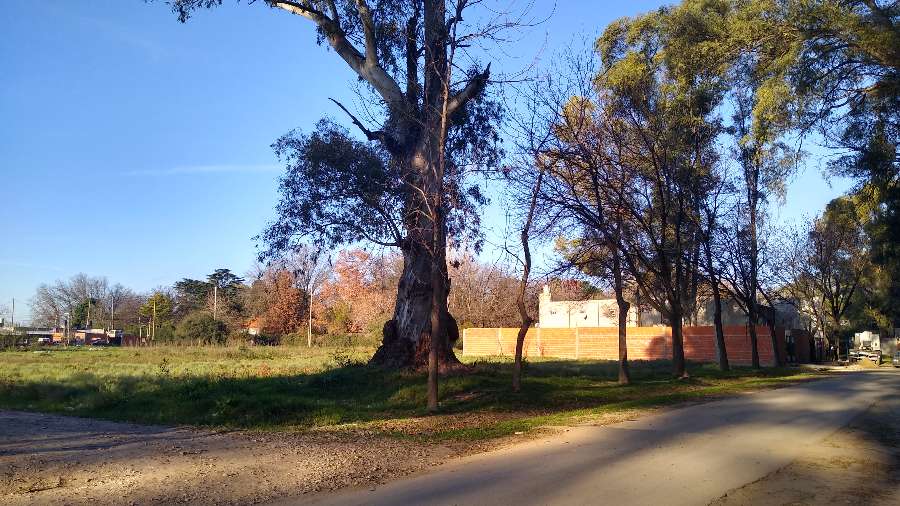 Oportunidad: Terreno en Venta en Libertad · frente 12 m · largo 32,5 m · 390 m² de lote · dueño directo - Imagen 3