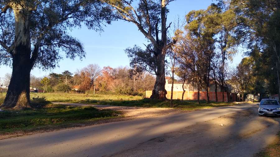 Oportunidad: Terreno en Venta en Libertad · frente 12 m · largo 32,5 m · 390 m² de lote · dueño directo - Imagen 5