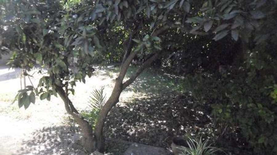 Excelente Casa en La Reja en Venta · dueño directo · 4 o más dorm · cochera · 360 m² de lote - Imagen 4