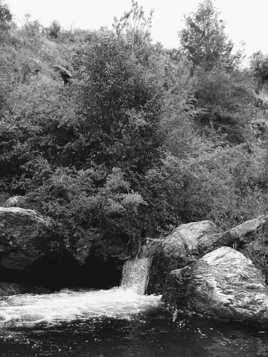 Excelente Campo en Villa Dolores en Venta · dueño directo · 5 ha - Imagen 2