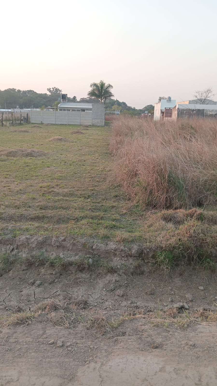 Campo  Corrientes - Imagen