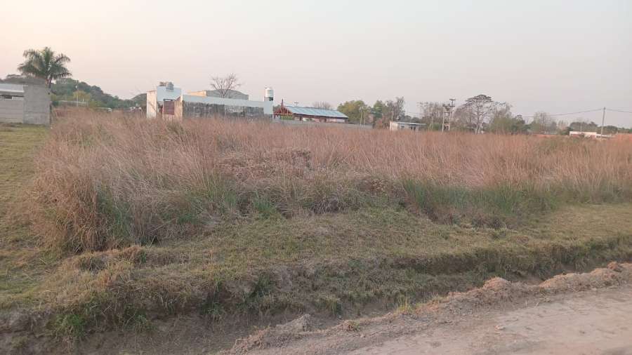 Campo  Corrientes - Imagen