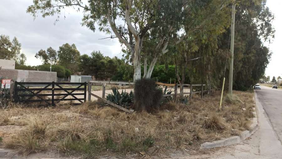 Terreno  Bahía Blanca - Imagen