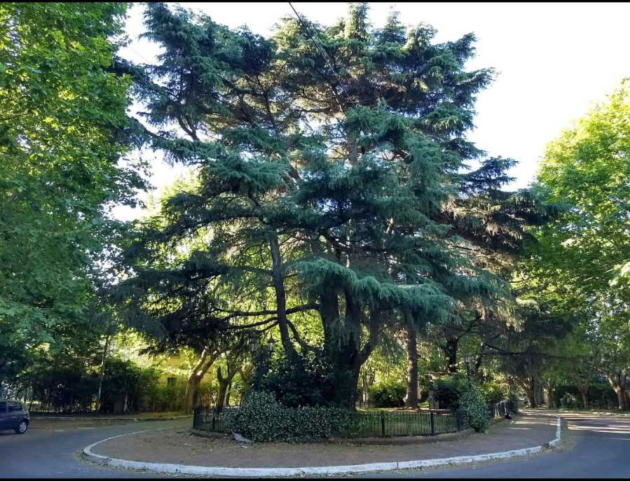 Lote en Venta Irala 560, Quilmes - Imagen 8