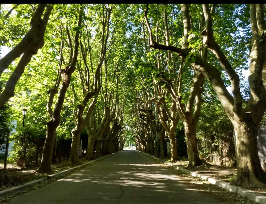 Lote en Venta Irala 560, Quilmes - Imagen 7