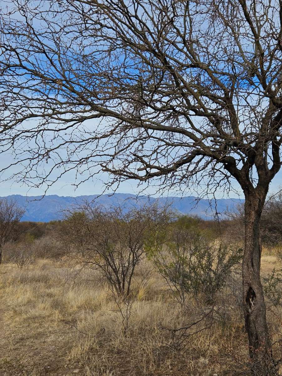 Terreno  Villa Dolores - Imagen