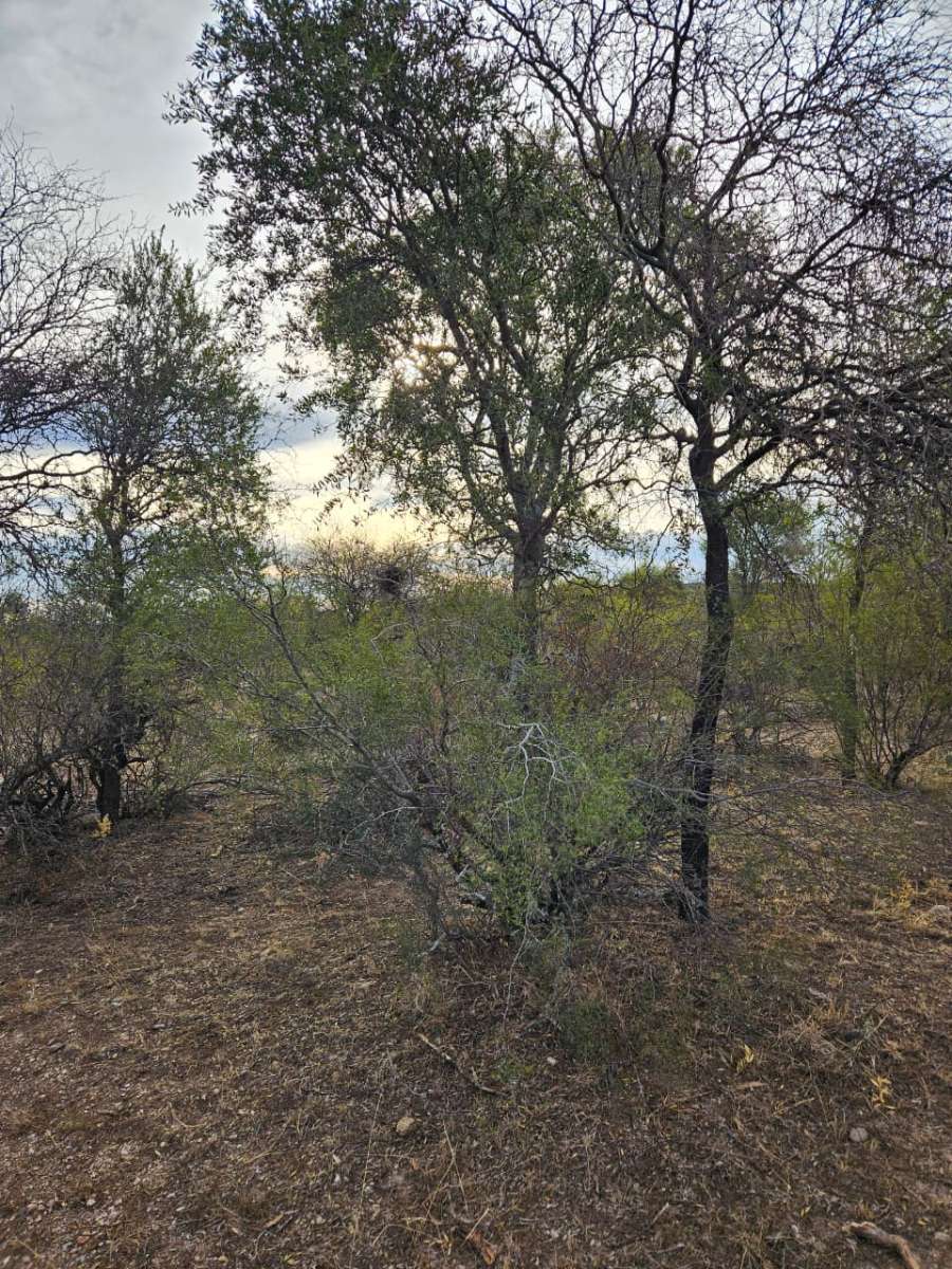 Terreno  Villa Dolores - Imagen