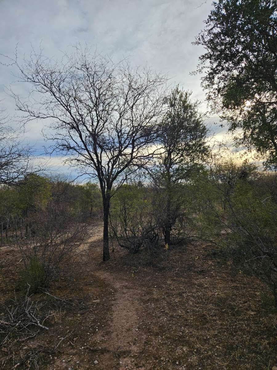 Terreno  Villa Dolores - Imagen