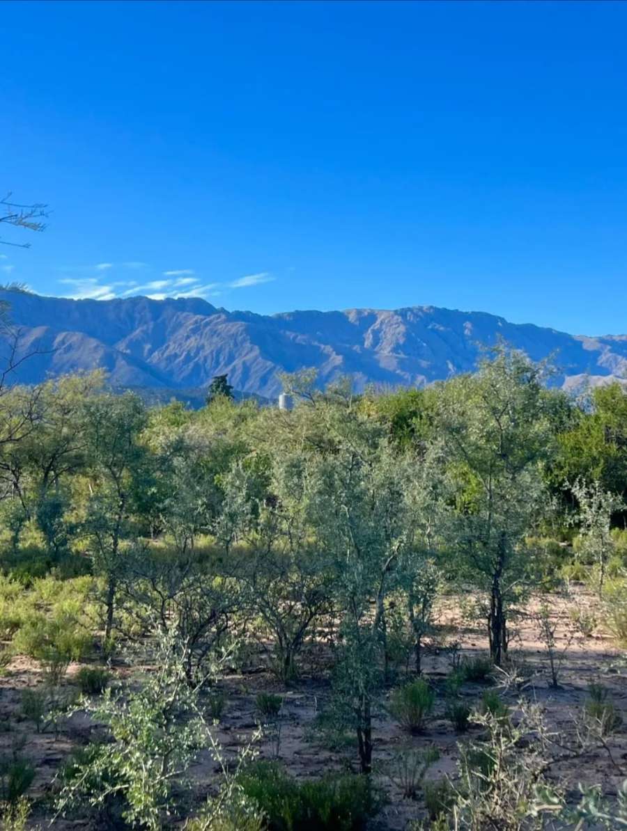 Terreno en Venta en Villa Las Rosas, · frente 27 m · largo 57 m · 1.525 m² de lote · dueño directo - Imagen 4