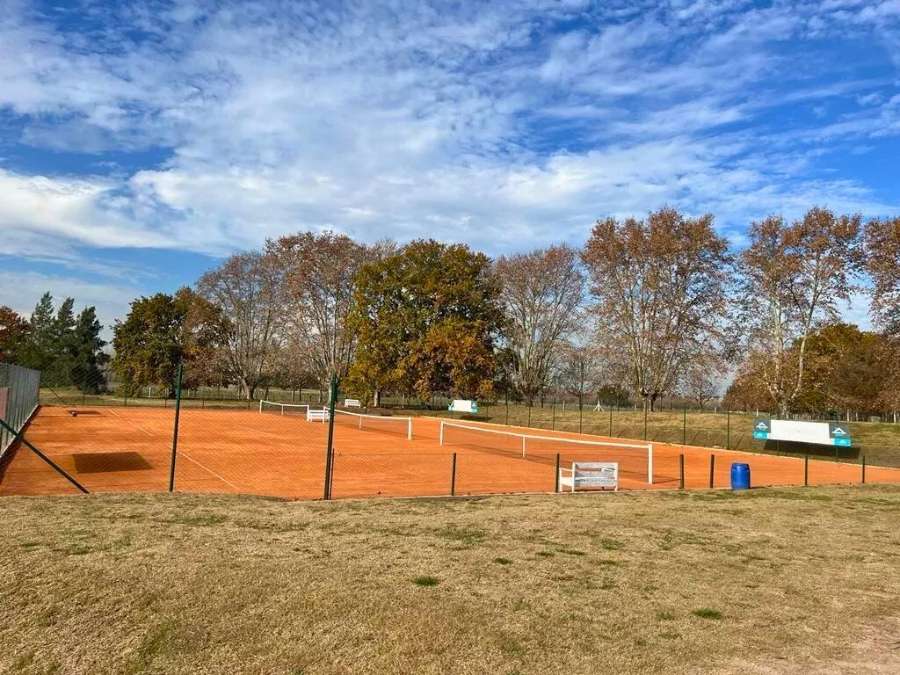 Terreno  Maximo Paz - Imagen