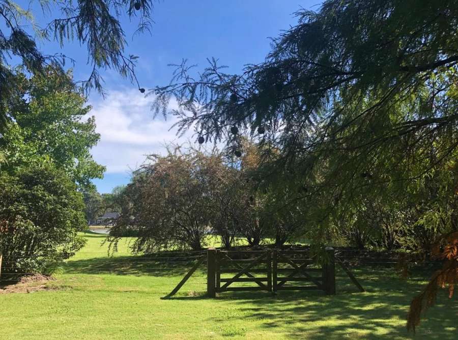 Lote en Venta El Lauquen, San Vicente - Imagen 7