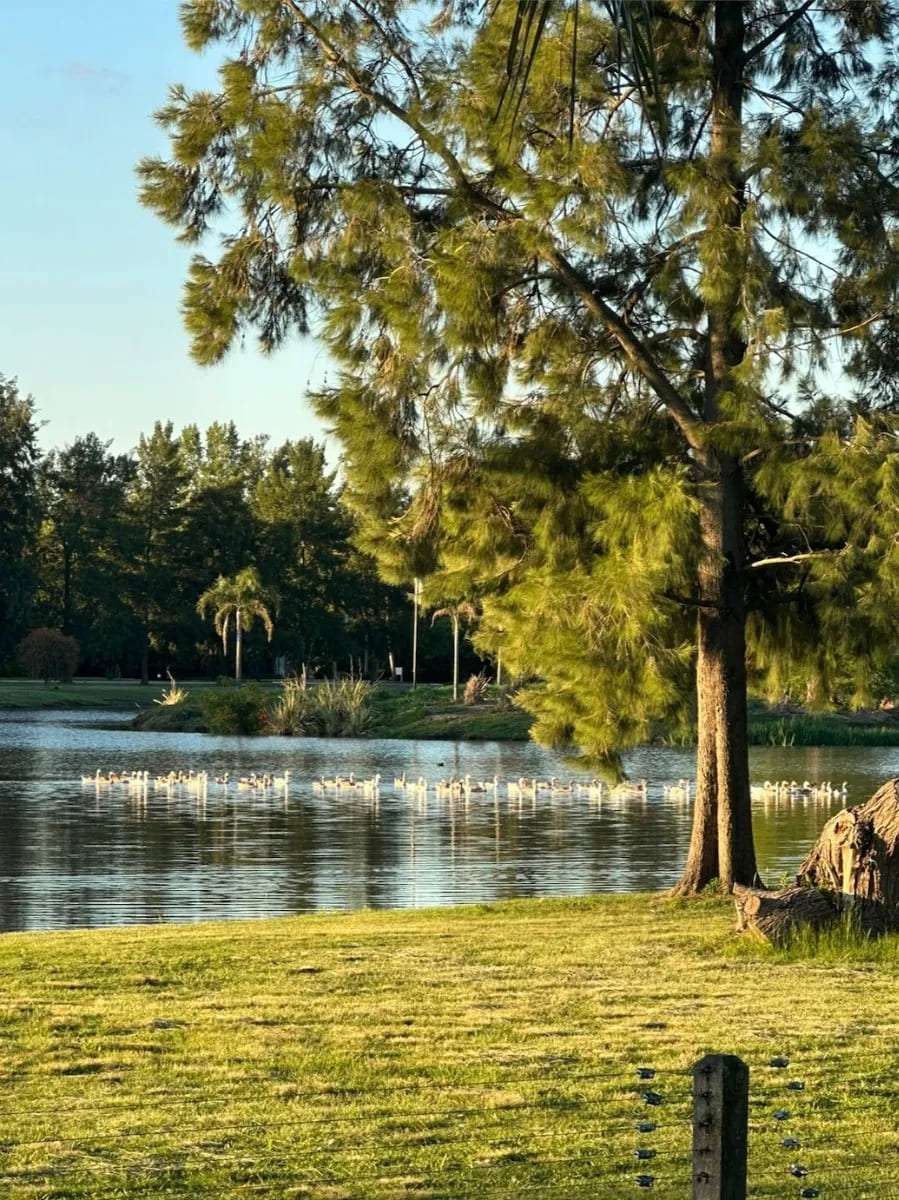 Lote en Venta El Lauquen, San Vicente - Imagen 4