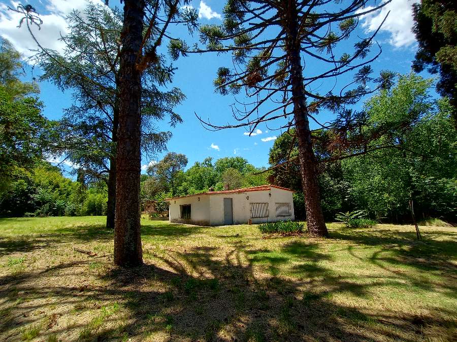 Campo en Venta en Zárate · dueño directo · 225 ha - Imagen 2