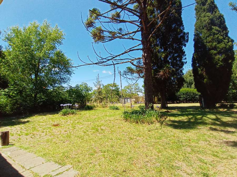 Campo en Venta en Zárate · dueño directo · 225 ha - Imagen 3