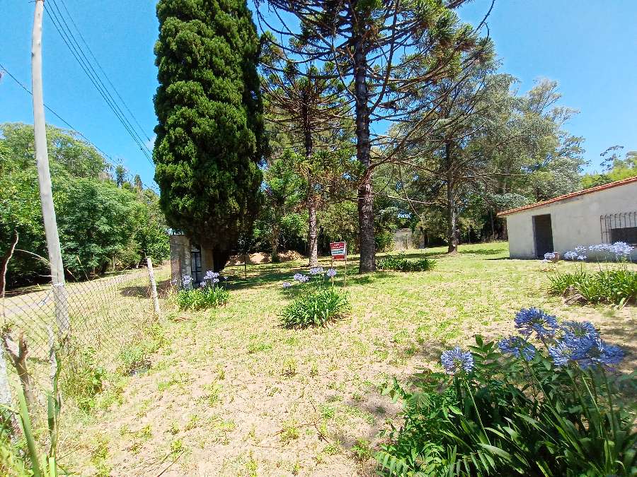 Campo  Zárate - Imagen