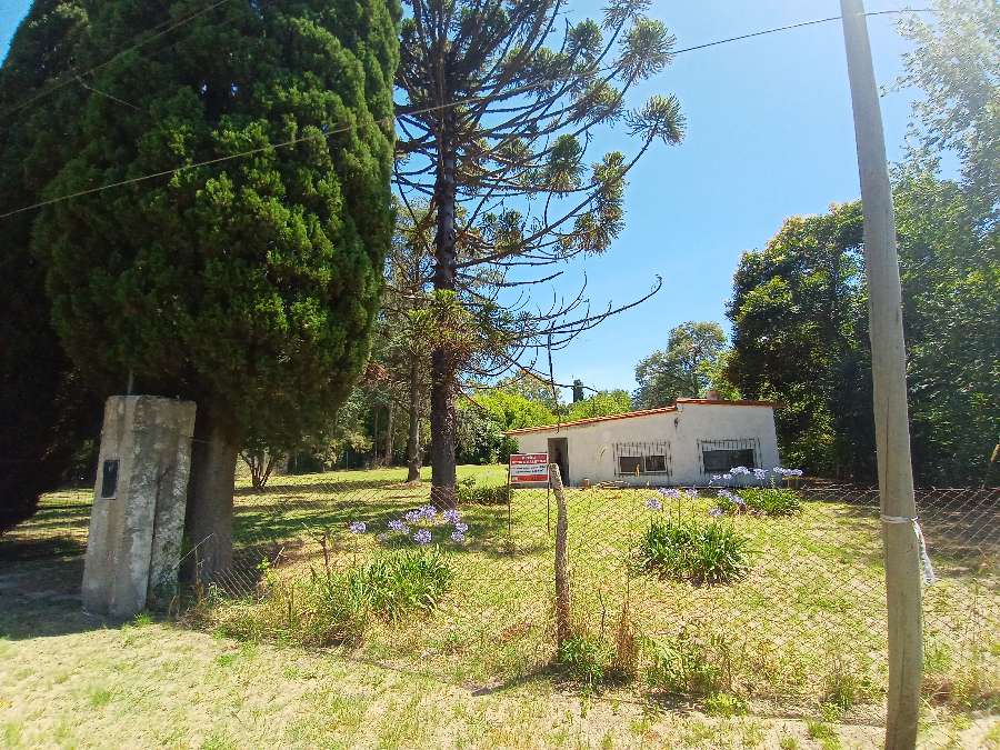 Campo  Zárate - Imagen