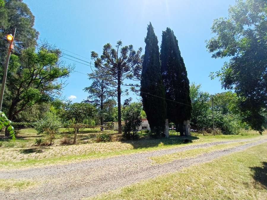 Campo  Zárate - Imagen