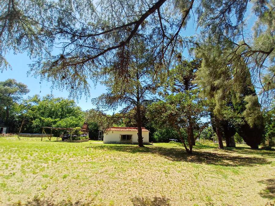 Campo  Zárate - Imagen