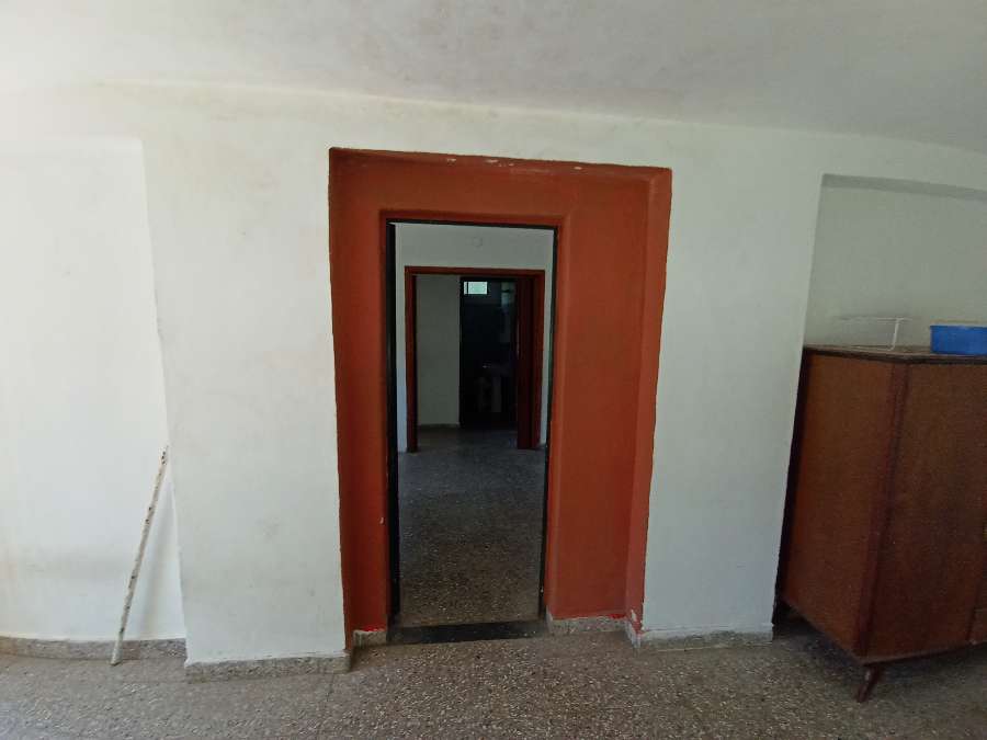 Campo  Zárate - Imagen