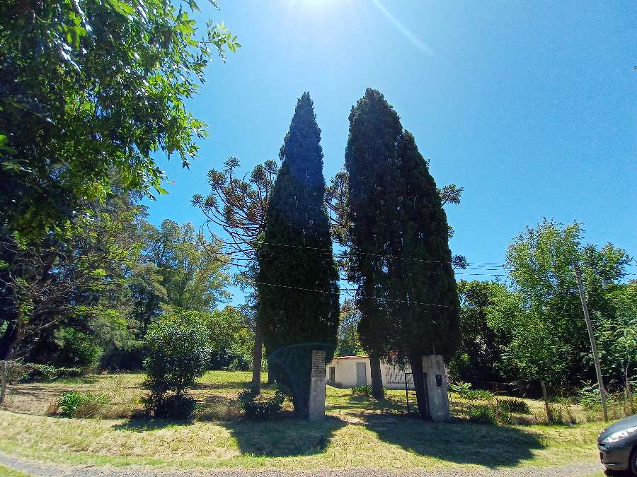 En Zárate, Campo en Venta · dueño directo · 225 ha - Imagen 2