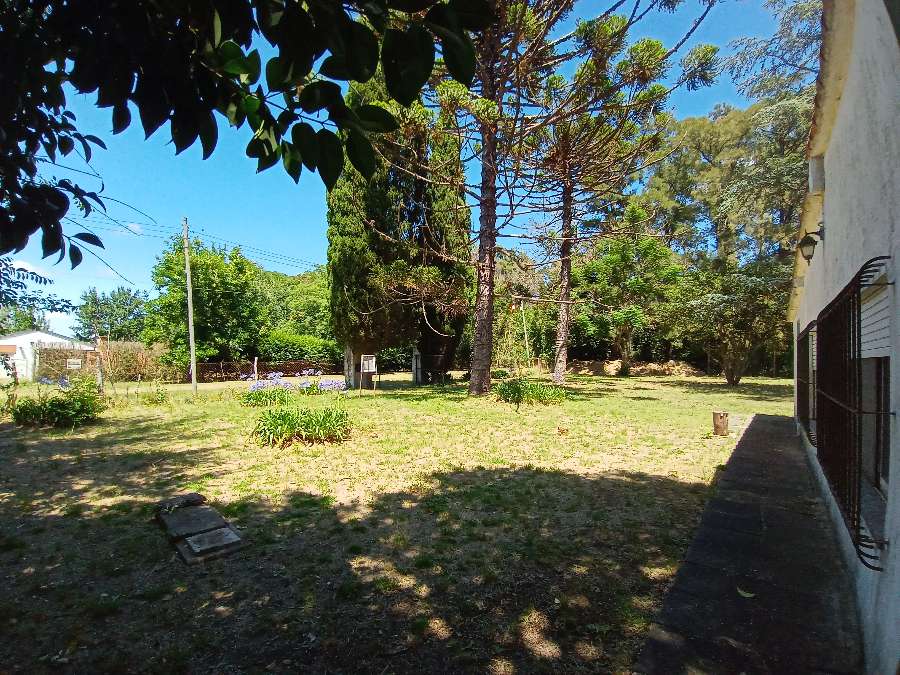 En Zárate, Campo en Venta · dueño directo · 225 ha - Imagen 4