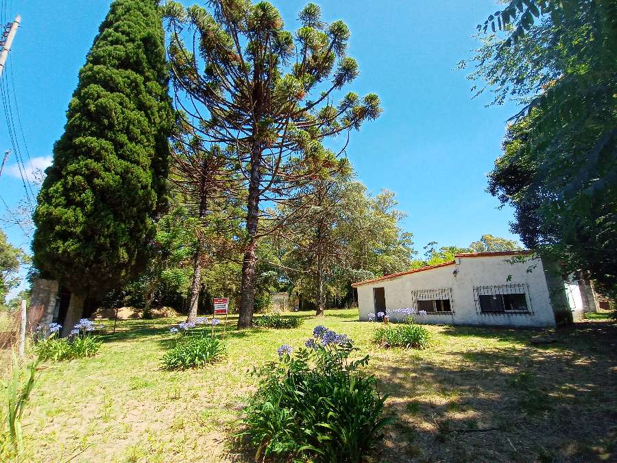 En Zárate, Campo en Venta · dueño directo · 225 ha - Imagen 5