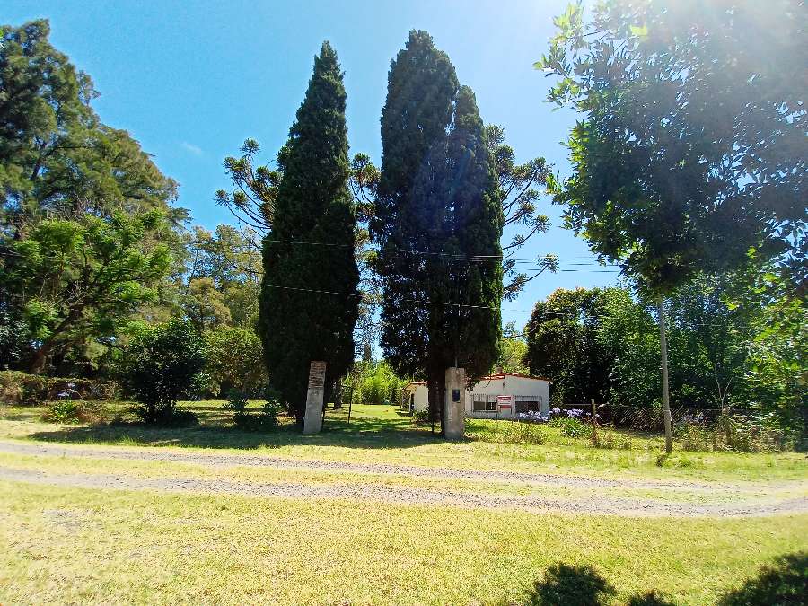 Campo  Zárate - Imagen