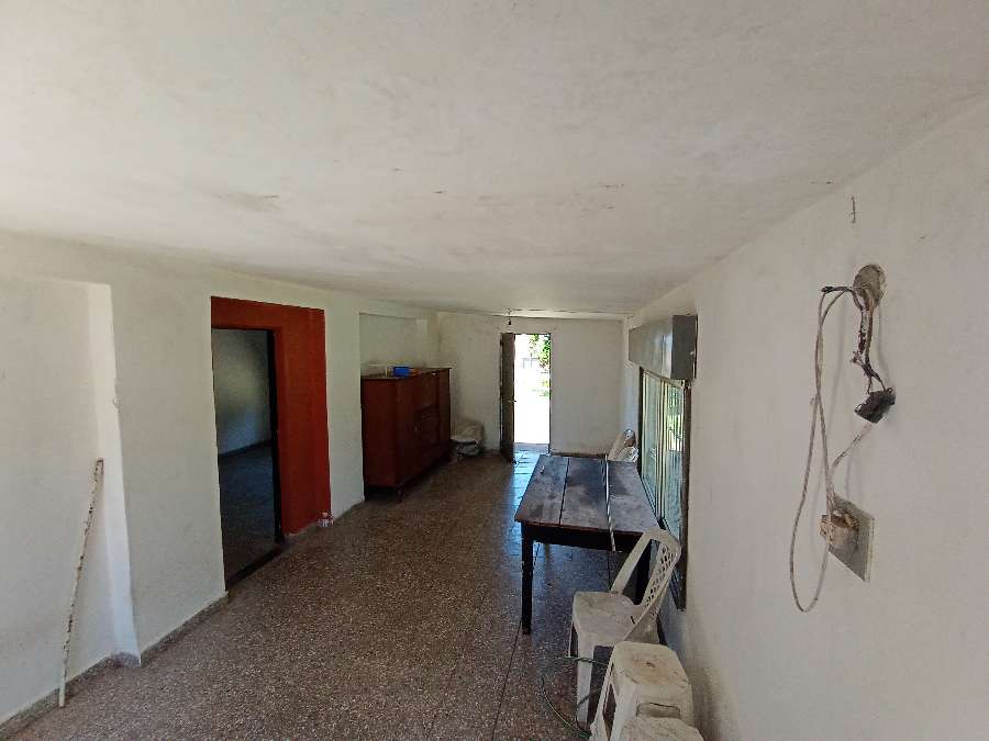 Campo  Zárate - Imagen