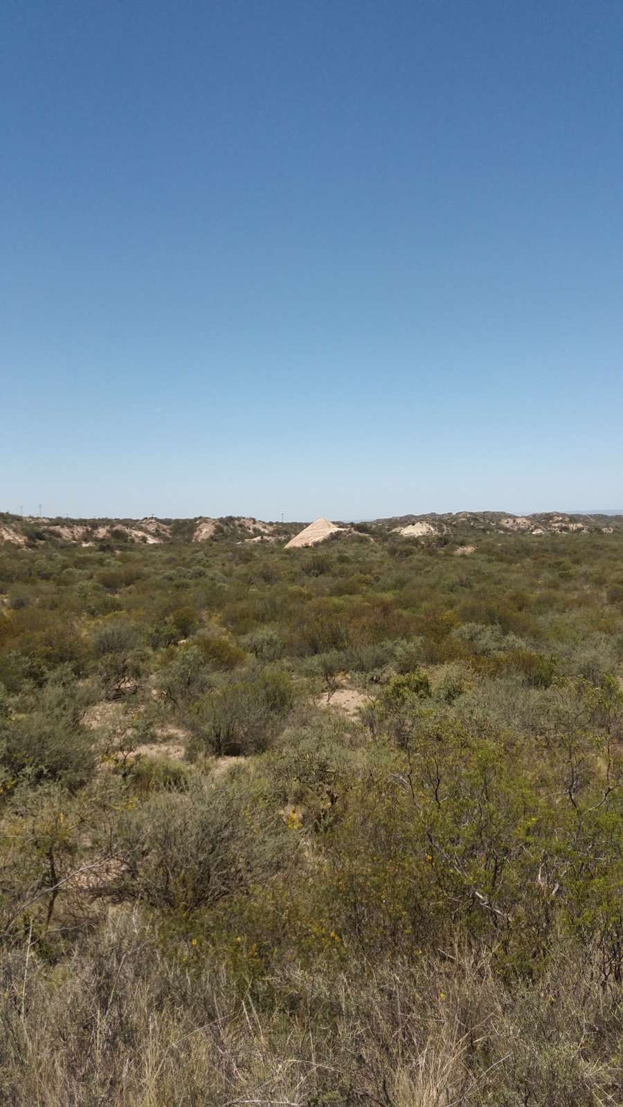 En Tupungato, Campo en Alquiler · dueño directo · 10 ha - Imagen 4