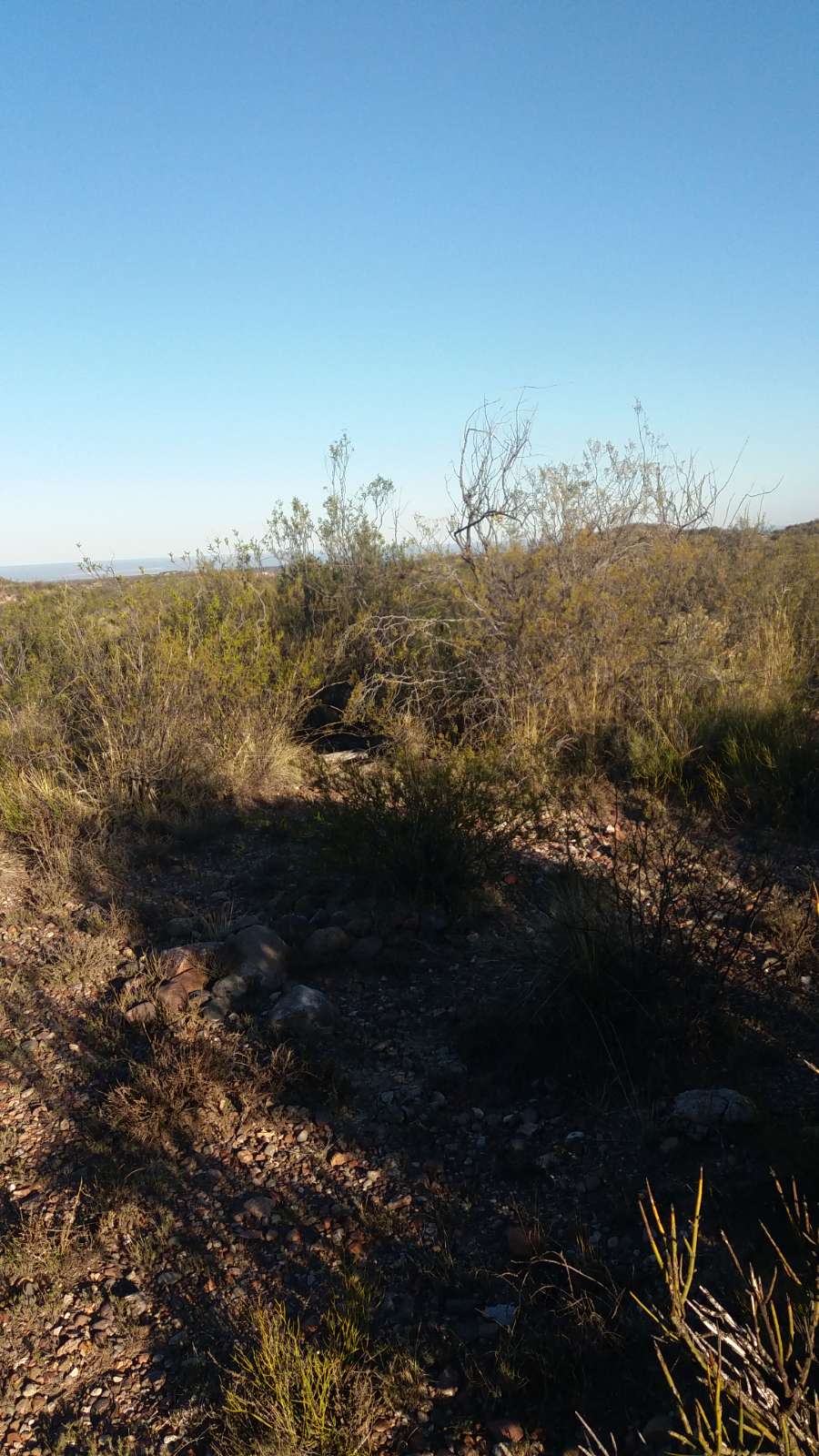 En Tupungato, Campo en Alquiler · dueño directo · 10 ha - Imagen 5