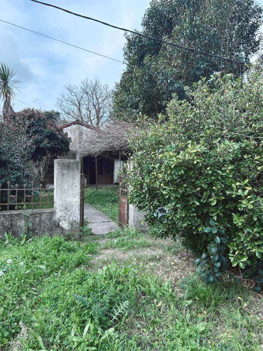 Excelente Casa en Magdalena en Venta · dueño directo · 3 dorm · 6 ambientes · 596 m² de lote - Imagen 2