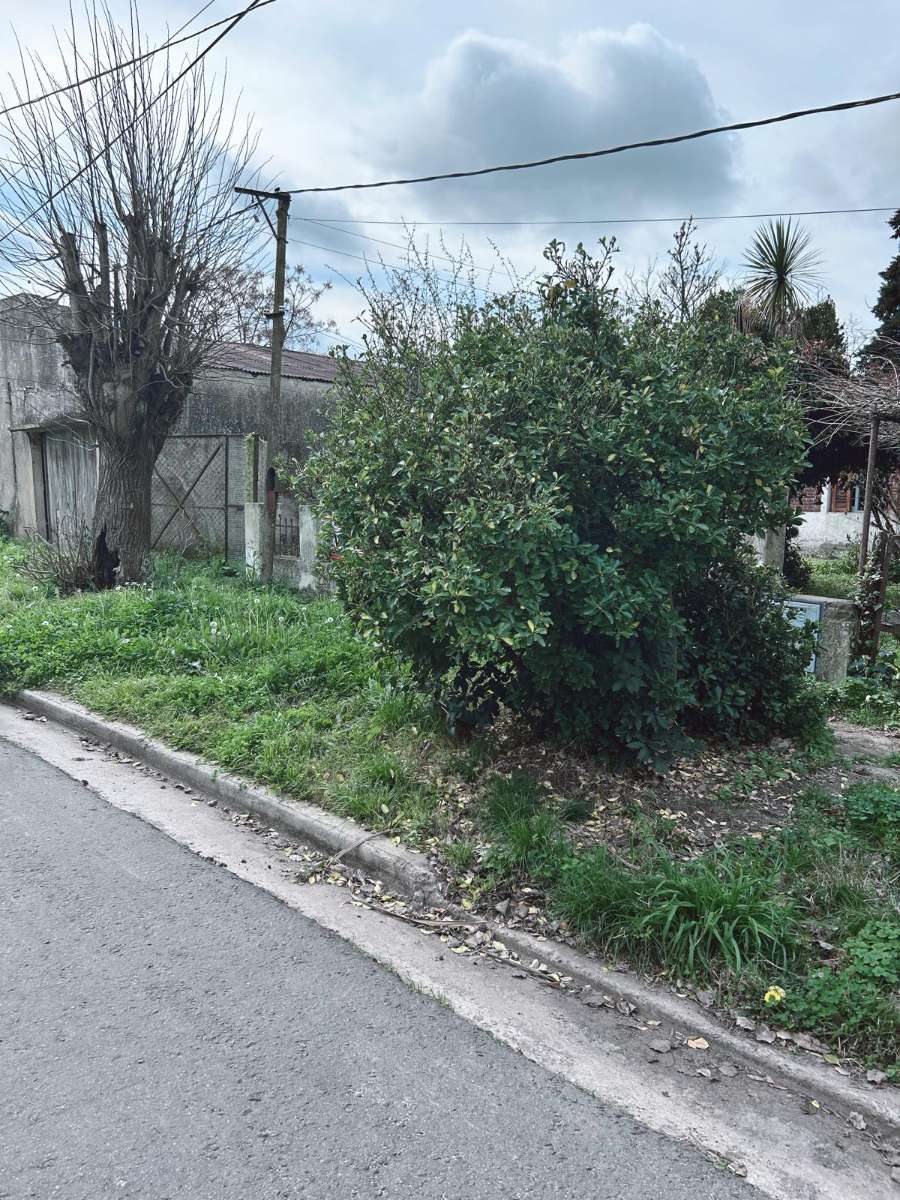 Excelente Casa en Magdalena en Venta · dueño directo · 3 dorm · 6 ambientes · 596 m² de lote - Imagen 3