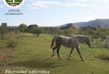Terreno en Santa Rosa de Calamuchita en Venta · frente 30 m · largo 36,84 m · 1.105 m² de lote · dueño directo - Imagen 3