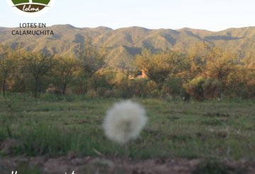 Terreno en Santa Rosa de Calamuchita en Venta · frente 30 m · largo 36,84 m · 1.105 m² de lote · dueño directo - Imagen 5