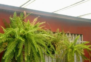 Casa disponible en Rosario · dueño directo · 2 dorm · cochera · 407 m² de lote - Imagen 4