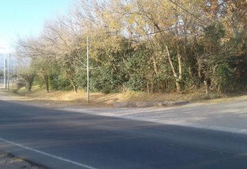 Comprar Terreno en Nono · 7.030 m² de lote · dueño directo - Imagen 5