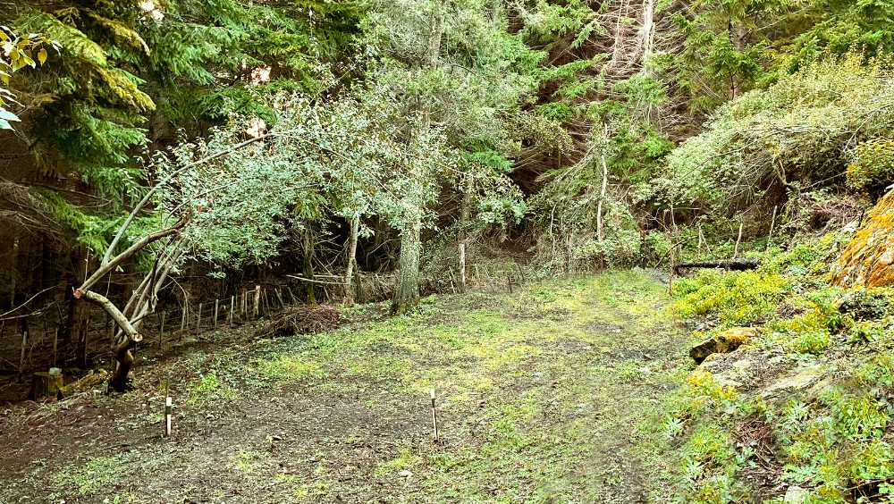 Excelente Terreno en Lago Puelo en Venta · frente 15 m · largo 30 m · 450 m² de lote - Imagen 4